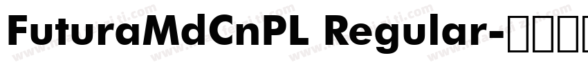 FuturaMdCnPL Regular字体转换
